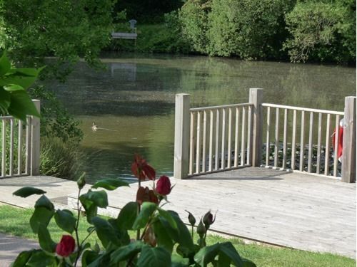 Spindlewood Country Holiday Park - Caravan Park ヘイスティングス エクステリア 写真
